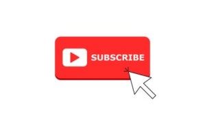 Grow Your Audience With Subscribers